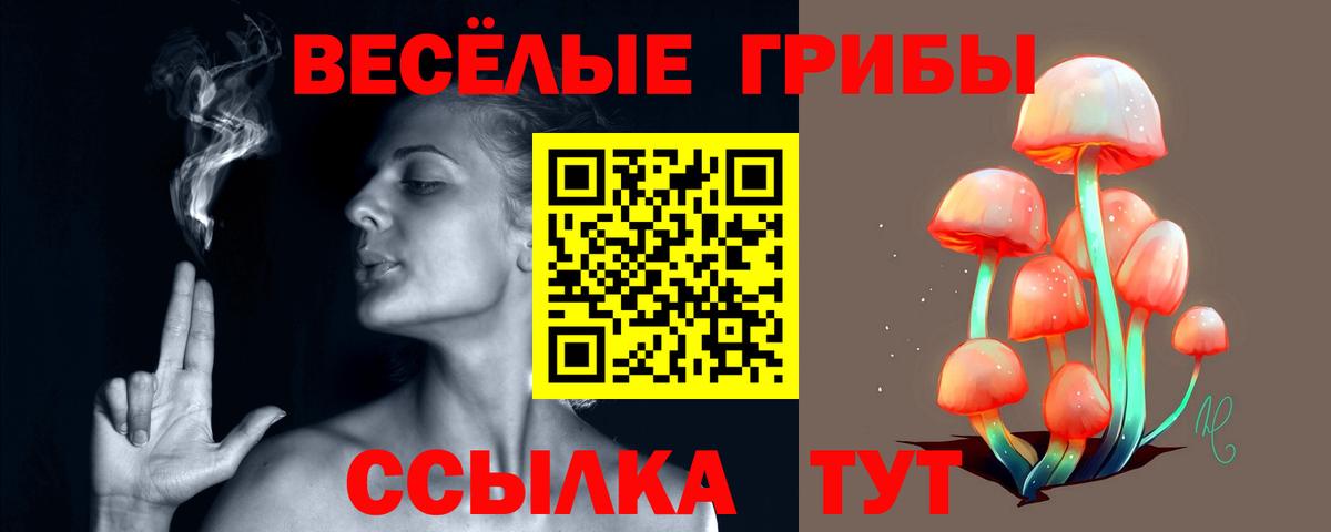 Галлюциногенные грибы GOLDEN TEACHER  Вход с VPN  Псилоцибиновые грибы Cubensis  Холмск 