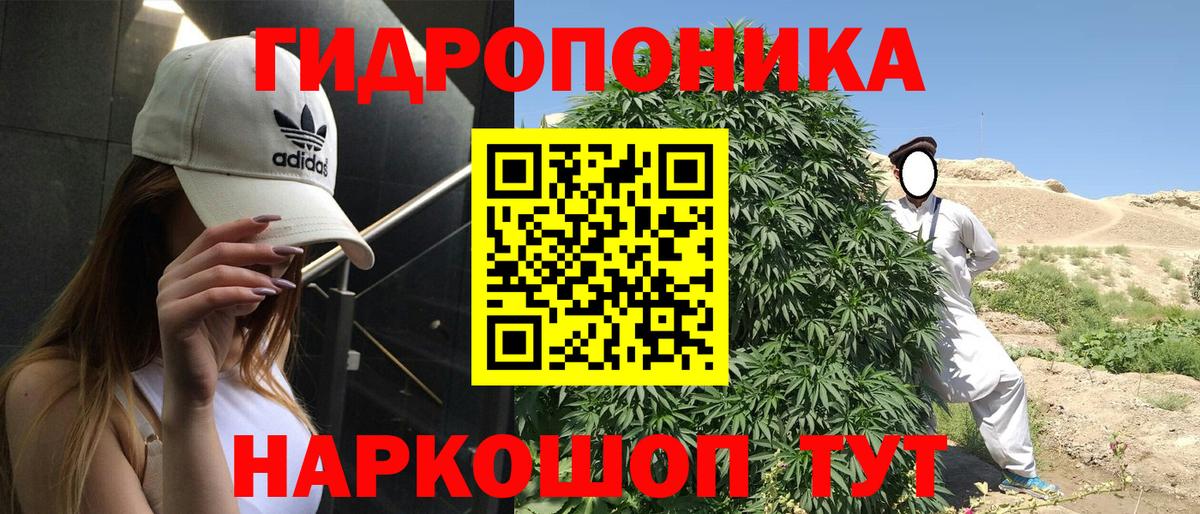 Марихуана SATIVA & INDICA Холмск